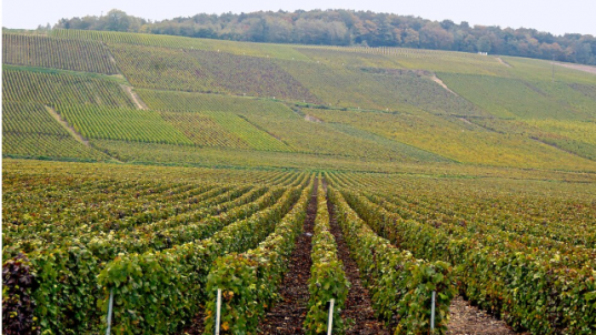 Week End en Champagne 2026