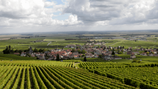 Week-end Œnologie en Bourgogne  les 6 et 7 avril